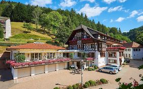 Hotel Adlerbad Bad Peterstal